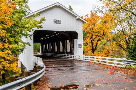 The Cottage Grove Covered Bridge Drive In Oregon Is Everything Youve