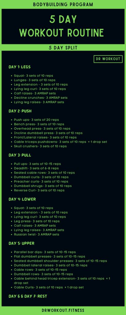 5 Day Workout Routine With Pdf Dr Workout