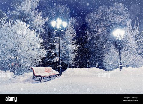 Winter Night Landscape Scene Of Snow Covered Bench Among Snowy Winter