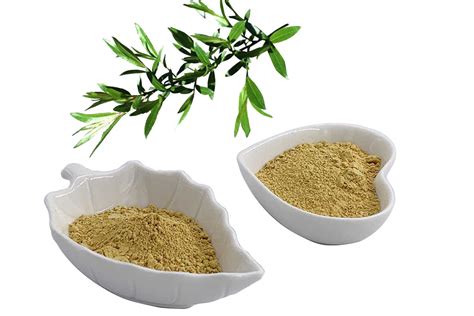 White Willow Bark Extract Standardized To 25 Salicin