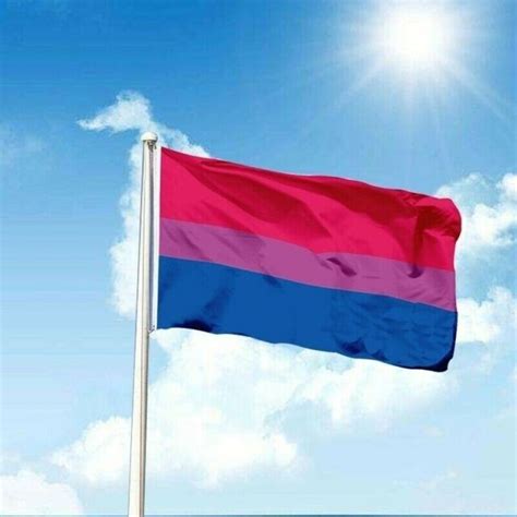 bisexual pride lgbt flags rainbow flag polyester 5 3 ft 150 90 cm grommets multi ebay