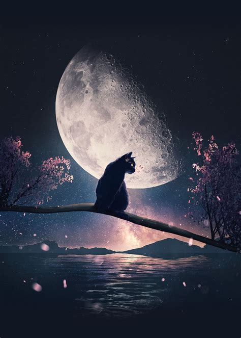Cat Moon And Stars Poster Picture Metal Print Paint By Adam