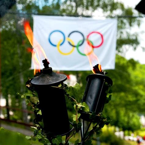 Letní olympijské hry 2016 (portugalsky jogos olímpicos de verão de 2016), oficiálně hry xxxi. ZIMNĚ - LETNÍ OLYMPIJSKÉ HRY