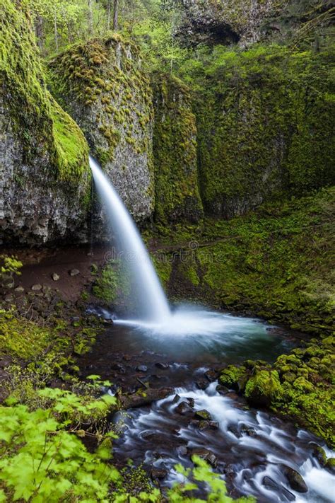 Upper Ponytail Falls In Columbia River Gorge Oregon Stock Image