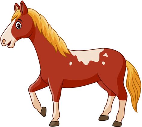 Cartoon Of Horses Eyes Illustrations Royalty Free Vector Graphics