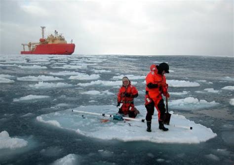 Our Last Day At Sea Ice Stories Dispatches From Polar Scientists