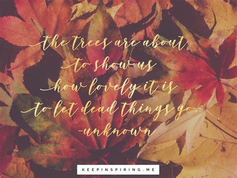 Quotes About Fall