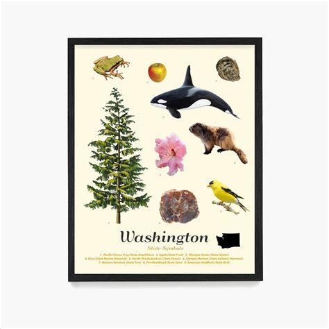 Washington State Symbols Poster Washington Wall Art Etsy