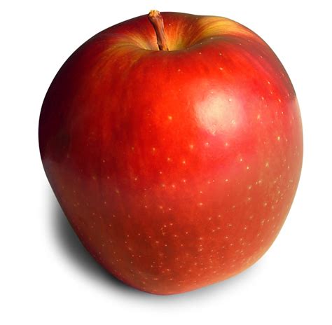 Apple Free Photo Download Freeimages