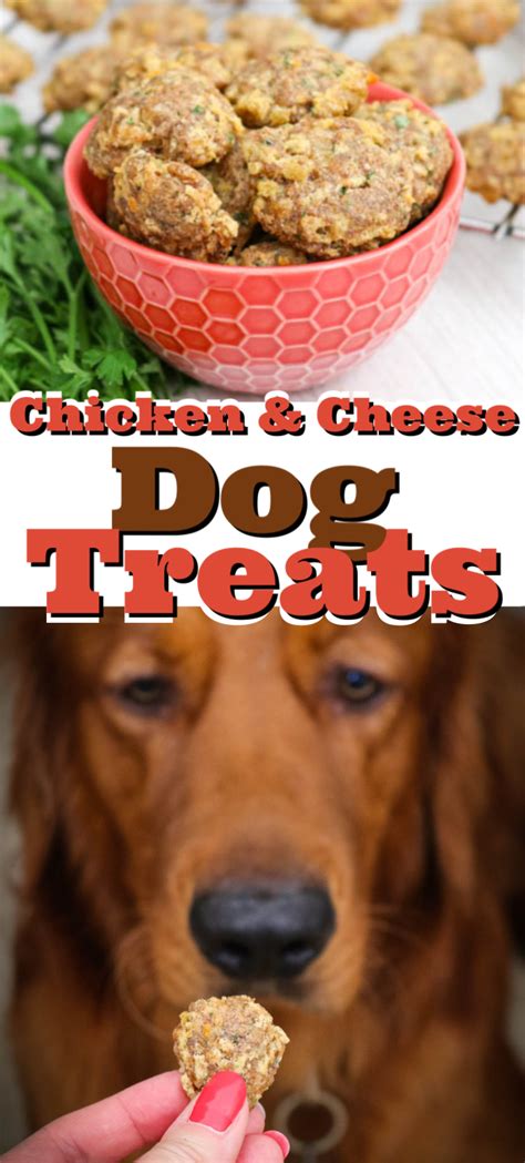 Chicken and Cheese Dog Treats | Dog treats homemade easy, Healthy dog