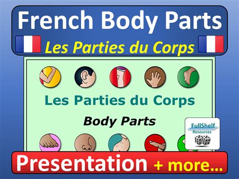French Body Parts Les Parties Du Corps Teaching Resources