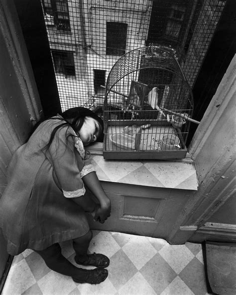 A Woman Kneeling Down In Front Of A Bird Cage