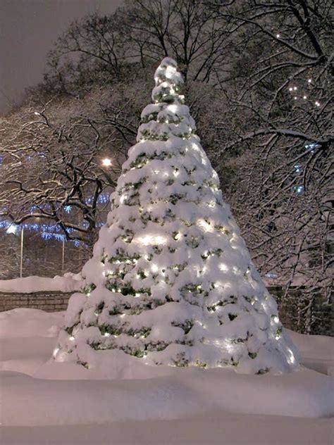 Stunning Views Snowy Christmas Tree