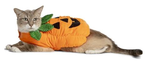 35 Cat Halloween Costumes — Funny Halloween Costumes For Cats Parade Pets