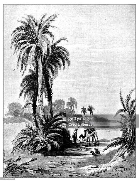 Antique Illustration Of Desert Of Shur Oasis High Res Vector Graphic