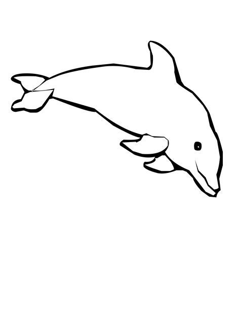 Dolphin Coloring Pages