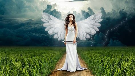 We have a massive amount of hd images that will make your computer or smartphone. Angel Wings Images · Pixabay · Download Free Pictures