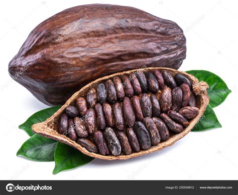 Cocoa Pods And Cocoa Beans Chocolate Basis Isolated On A White ⬇