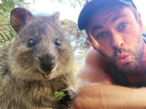 20 Facts About The Quokka The Happiest Looking Animal In The World