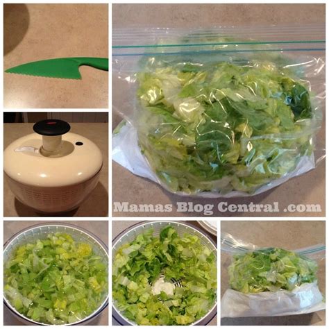 How To Store Lettuce Longer Mamas Blog Central Lettuce Recipes