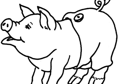 Ausmalbilder Ausmalbilder Schwein Zum Ausdrucken Kostenlos Für