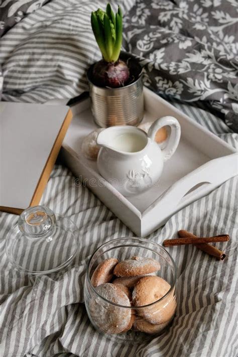 Cozy Evening With A Book And Cookies Under The Covers Interior Details
