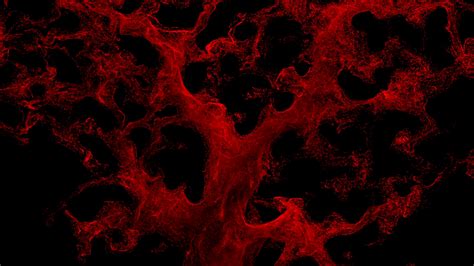 Black Background Blood Blood Splatter In Red Ink Color On Black