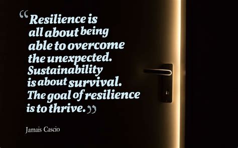 10 Quotes To Increase Resiliency Cam Taylor