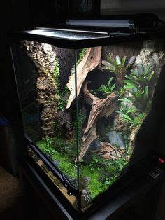 It depends where you live, in a big city or town i'd use bottled, or use a conditioner, where i live (in the sticks) i use tap water, as there isn't as much chlorine in it, soft. Alberta Bred Geckos Previous Setups Page | Gecko terrarium ...