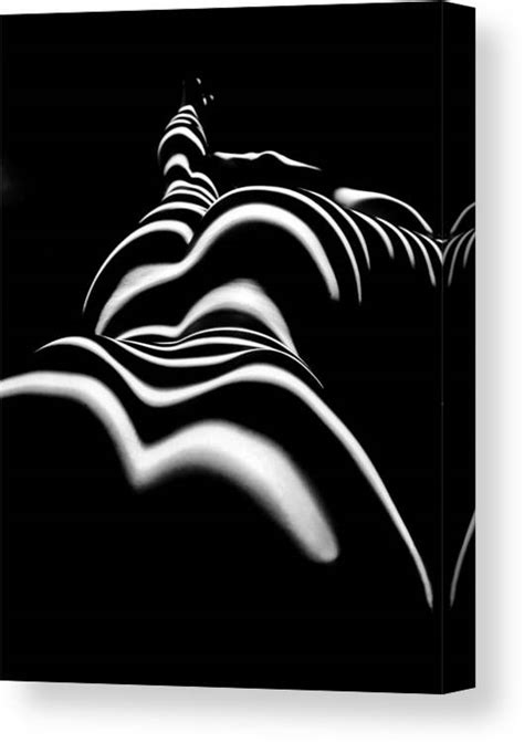 SLG Zebra Woman Shoulders And Back Sensual Nude Abstract Black White Stripe By Chris Maher