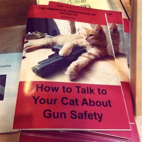 How To Talk To Your Cat About Gun Safety