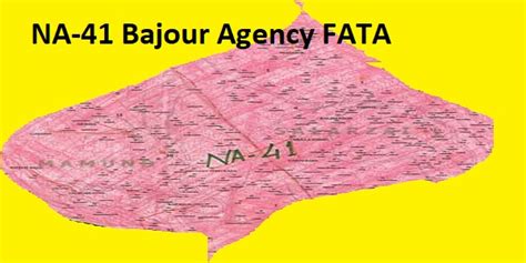 Na 41 Bajour Agency Area Map Candidates And Result
