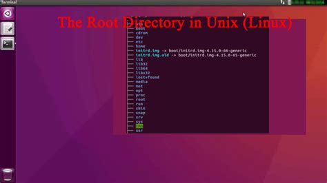 The Root Directory In Unix Linux