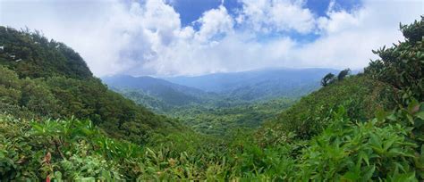 The Monteverde Cloud Forest Reserve Costa Rica Know Before You Go