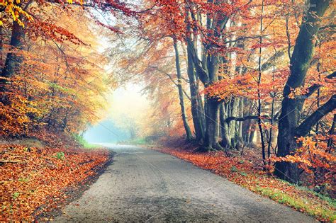 14 والپیپر و تصویر زمینه از طبیعت فصل پاییز با کیفیت فوق العاده بالا