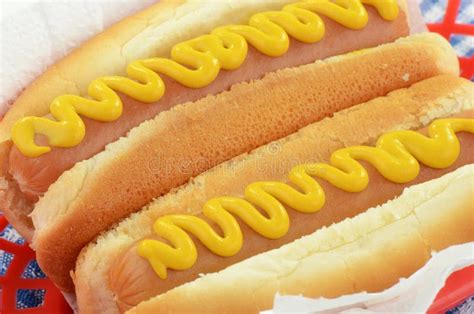 Hot Dogs With Mustard Stock Image Image Of Yellow Nutrition 28998117