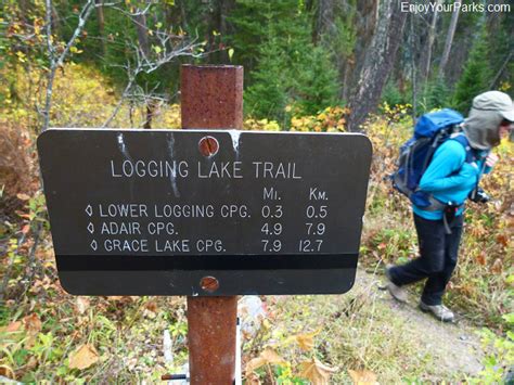Logging Lake Trail Enjoy Your Parks