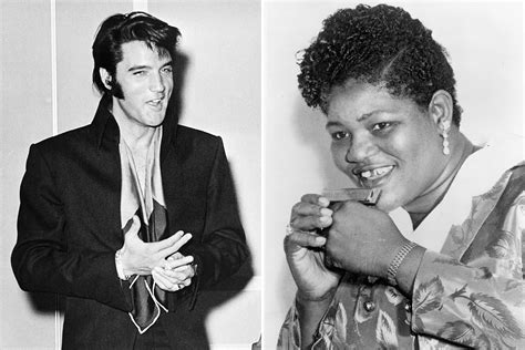 Did Elvis Presley Steal From Big Mama Thornton The Real Story Of