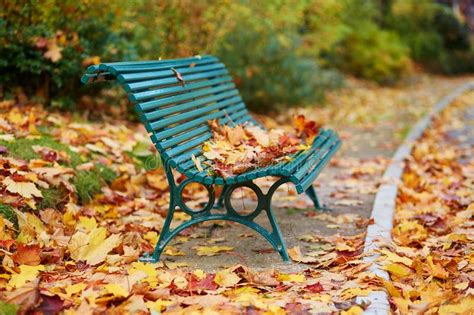 Many Autumn Fallen Leaves On Bench In Montsouris Park Stock Image