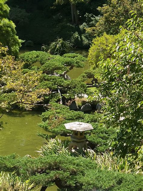 The huntington library, art collections, and botanical gardens draws some of the best minds in the nestled on the southeast edge of pasadena in san marino, the huntington collects the three. Reflecting pools in Japanese Garden at Huntington Gardens ...