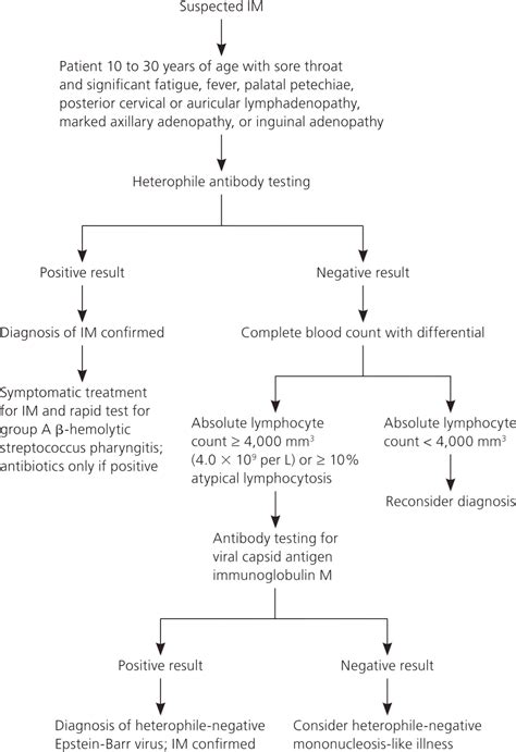 Common Questions About Infectious Mononucleosis Aafp