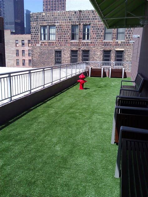 You can also give your dog a bath or hose him off right on the lawn without worrying about him if you are a pet owner and you are considering installing fake grass for your pets, it is important that you choose one that has drainage. Roof, Deck, & Patio products | Fake grass, Grasses and ...