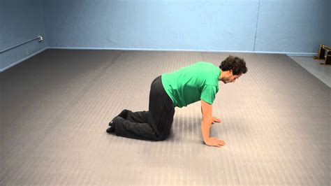 Camel pose is said to benefit the circulatory, nervous and endocrine. Cat/camel pose - YouTube