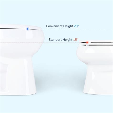 Toilet Chair Height Vs Comfort Height Homes And Apartments For Rent