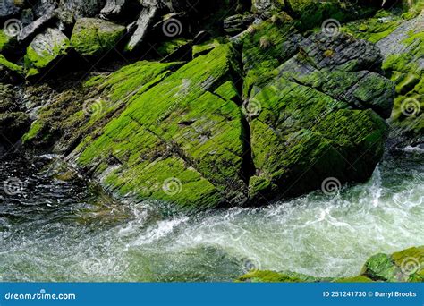 Green Moss On Rocks By Rapids Stock Photo Image Of Alaska Beautiful