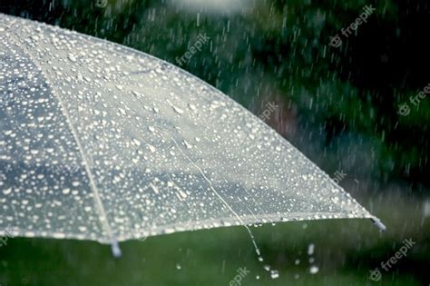 Parapluie Sous La Pluie | Photo Premium