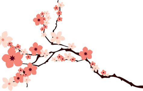 Cherry blossom hd 31, download free cherry blossom transparent png images for your works. Transparent Cherry Blossom - ClipArt Best