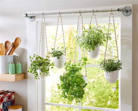 How To Grow Herbs Indoors For A Fragrant Garden Within Reach