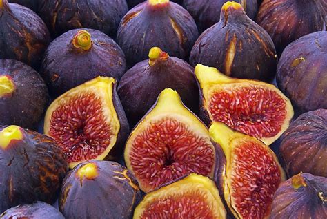 Mexican Figs Aphis Bolsters Import Rules