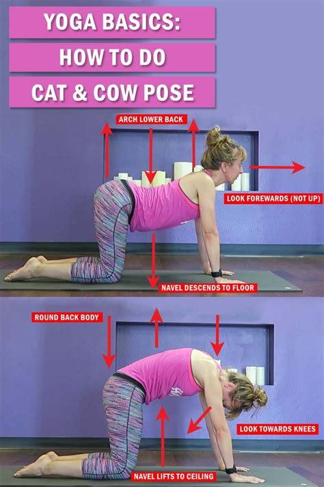 How To Do Cat Cow Pose Yoga Basics Learn The Technique And Benefits